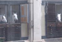 Also in the Hofburgcomplex area is the stable of the Lipizzaner horses